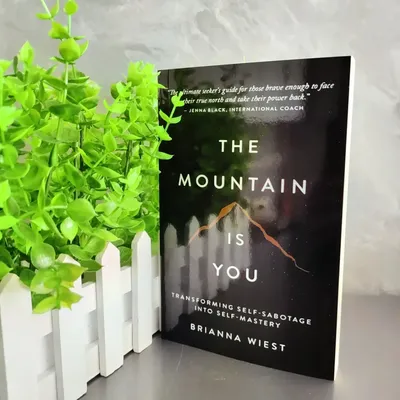 The Mountain Is You Brianna Wiest Bestseller Conquer Self Sabotage Master Life