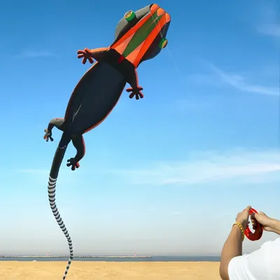 3D 14M Lizard Inflatable Kite Soft Skeletonless Large Animal Kite Outdoor Sport Sports Tear Resistant Kite Easy To Fly