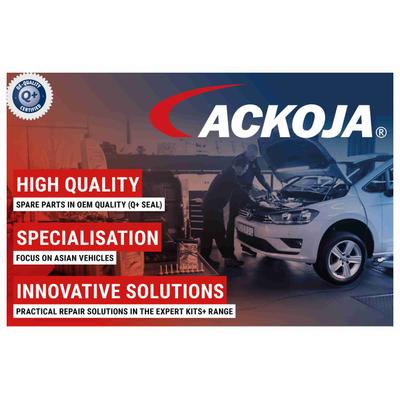 ACKOJA Gasfeder, Koffer-/Laderaum 290N für KIA 811813E010 811813E011 811813E000 A53-0008 Image
