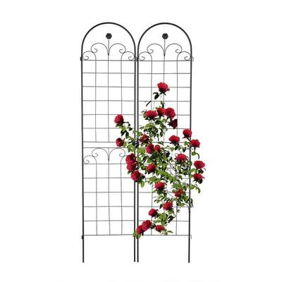 relaxdays 2er-Pack Rankgitter 220 cm Image