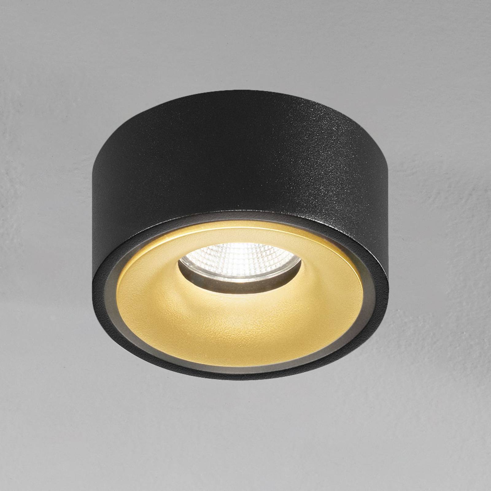 Egger Licht DLS LED-Spot Clippo EP, schwarz-gold, 2.700K dimmbar, schwarz, für Arbeitszimmer / Büro, Aluminium, Modern, Downlights