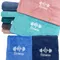 Multicolour Fitness Towels ,Quick-Dry & Super Soft (15.8x37.4in) , Compact for Gym,Beach, fitness,camping,backpacking,pool