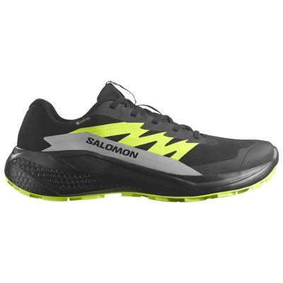 Salomon - Alphaglide GORE-TEX - Trailrunningschuhe 44 2/3 | EU 44 schwarz Image