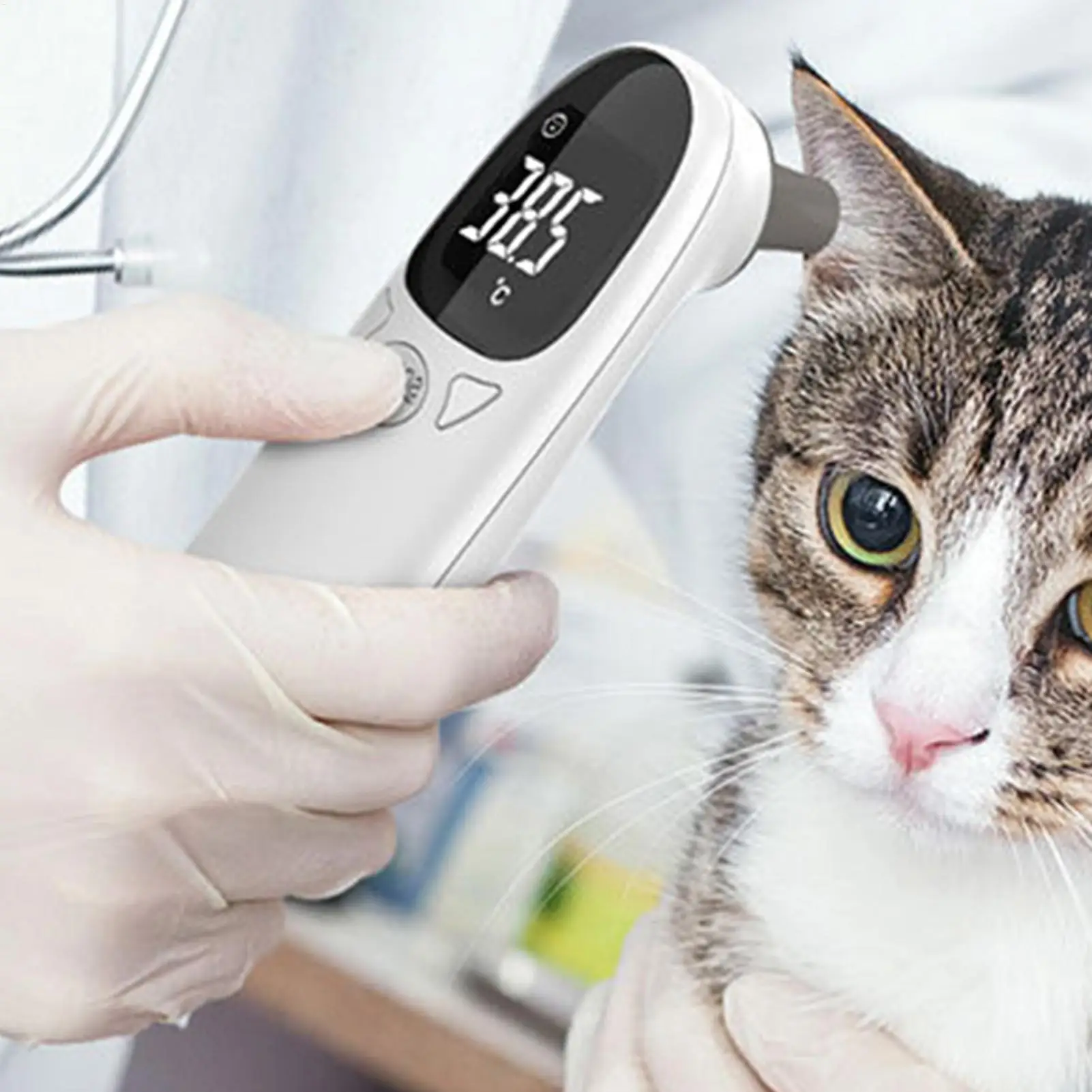 NEU Haustier Hund Katze Ohr Digitale Thermometer Tiermessung Berührungslose elektronische hochpräzise Heimtierbedarf Image