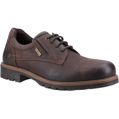 Cotswold Ebrington Leder Herren braune Schnürschuhe Image