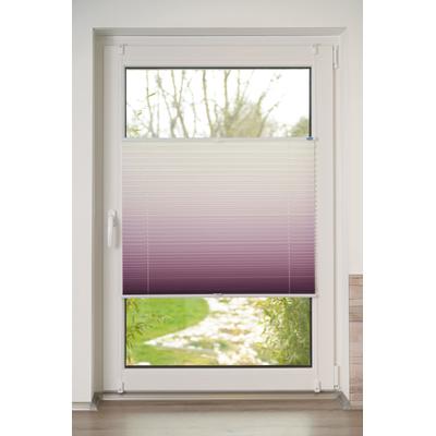 Plissee K-HOME "Farbverlauf Sunrise", rot (bordeaux, weiß), B:100cm H:210cm, Obermaterial: 100% Polyester, Plissees Image