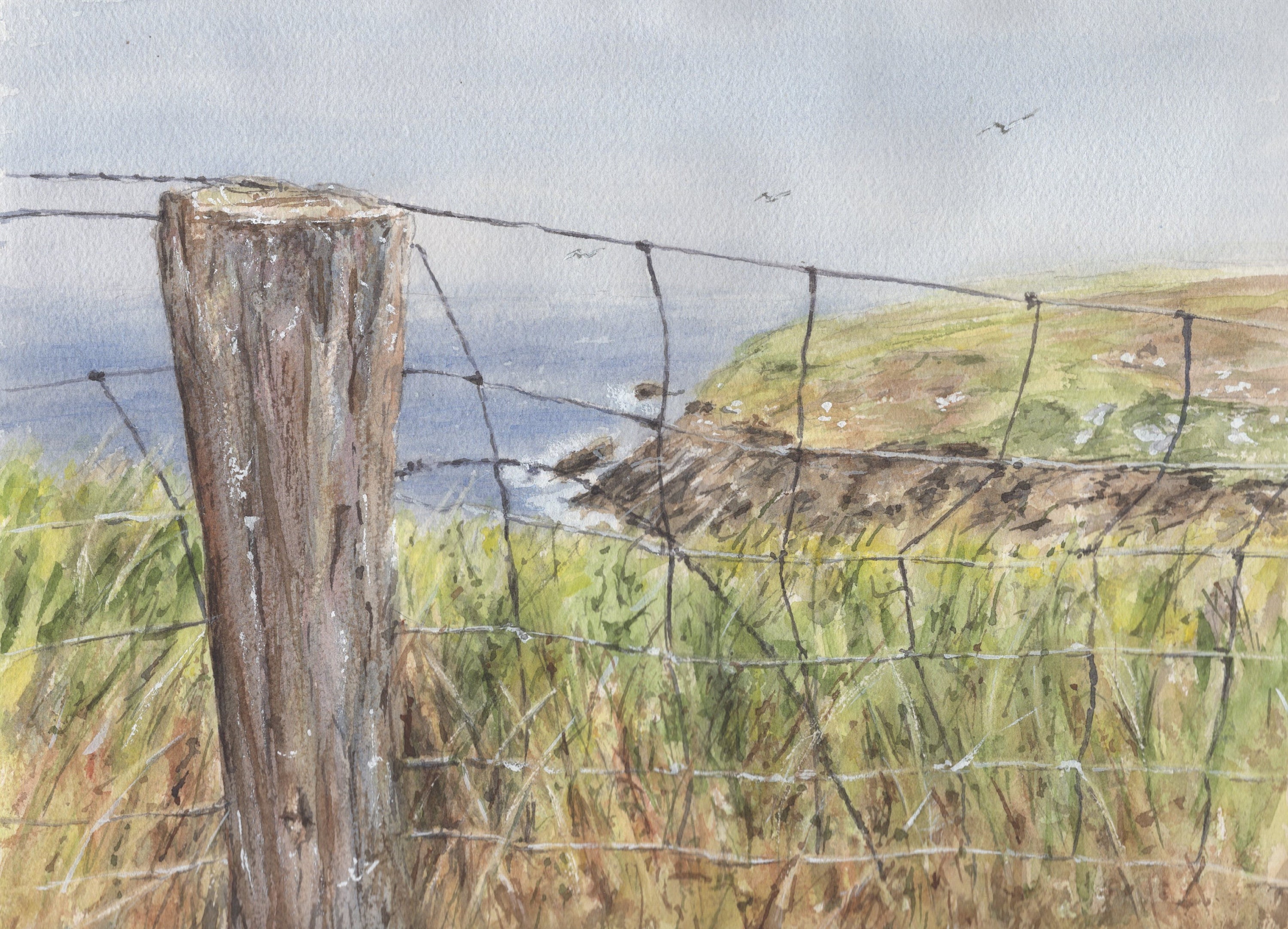 Penisola di Dingle, Slea Head Irlanda acquerello giclée stampa pittura stampa pecora pittura irlandese arte irlandese mare Irlanda pittura irlandese