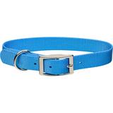 Personalized Blue Lagoon Single-Ply Dog Collar, X-Small