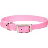 Metal Buckle Nylon Personalized Dog Collar in Bright Pink, 3/4" Width, Medium