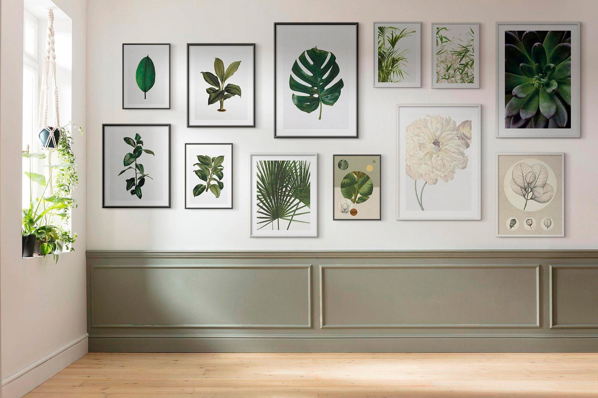 Bild KOMAR "Monstera Leaf", grün (farbe bild(er): bunt), B:50cm H:70cm, Holz, Papier, Bilder, Wandbild zur Dekoration - ohne Rahmen Image