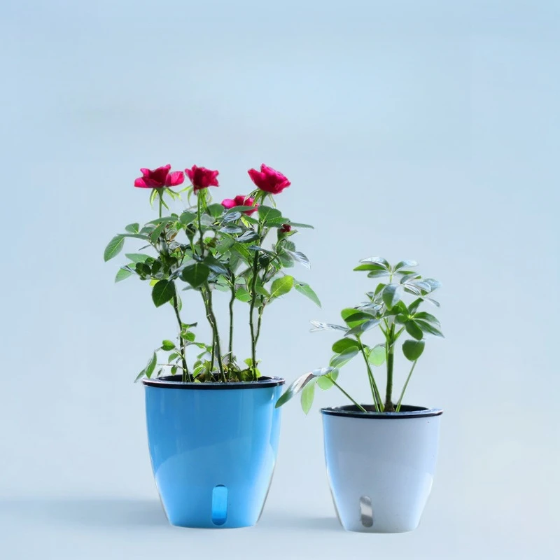 Lazy Flower Pot Wasserpflanze Blumentopf/selbstbewässernder Blumentopf mit sichtbarem Wasserstand, Wurzelpflege-Blumentopf für Kinderzimmer, Innenbereich Image