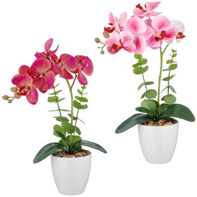 Kunstorchidee CREATIV GREEN "Orchidee Phalaenopsis", bunt, H:40cm, Kunststoff, Kunstpflanzen, mit Eukalyptuszweigen Image