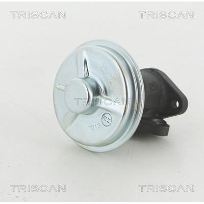 Triscan AGR-Ventil [Hersteller-Nr. 881321002] für Chevrolet, Daewoo, Opel, Vauxhall Image