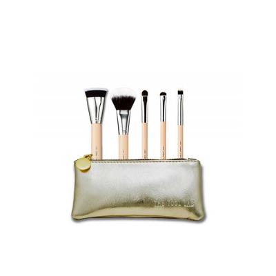 thetoollab 501 Mini Brush Kit