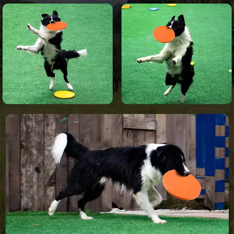 Heimtierbedarf, schwimmende fliegende Untertasse, Hundespielzeug, interaktives Training, weich, reißfest, bissfest, Outdoor-Spielzeug für Hunde Image