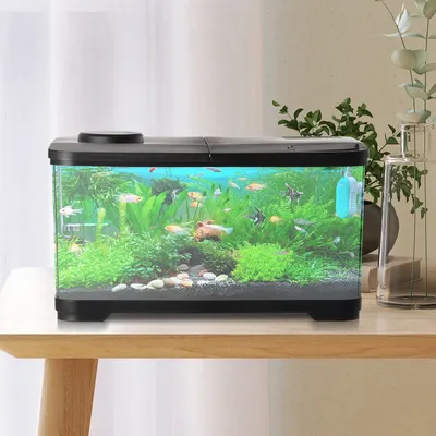 50L Aquarium Tank mit Licht Acryl Aquarien Starter Kits Tabletop Decor Mini Aquarium für Fisch Garnelen Wasserpflanzen