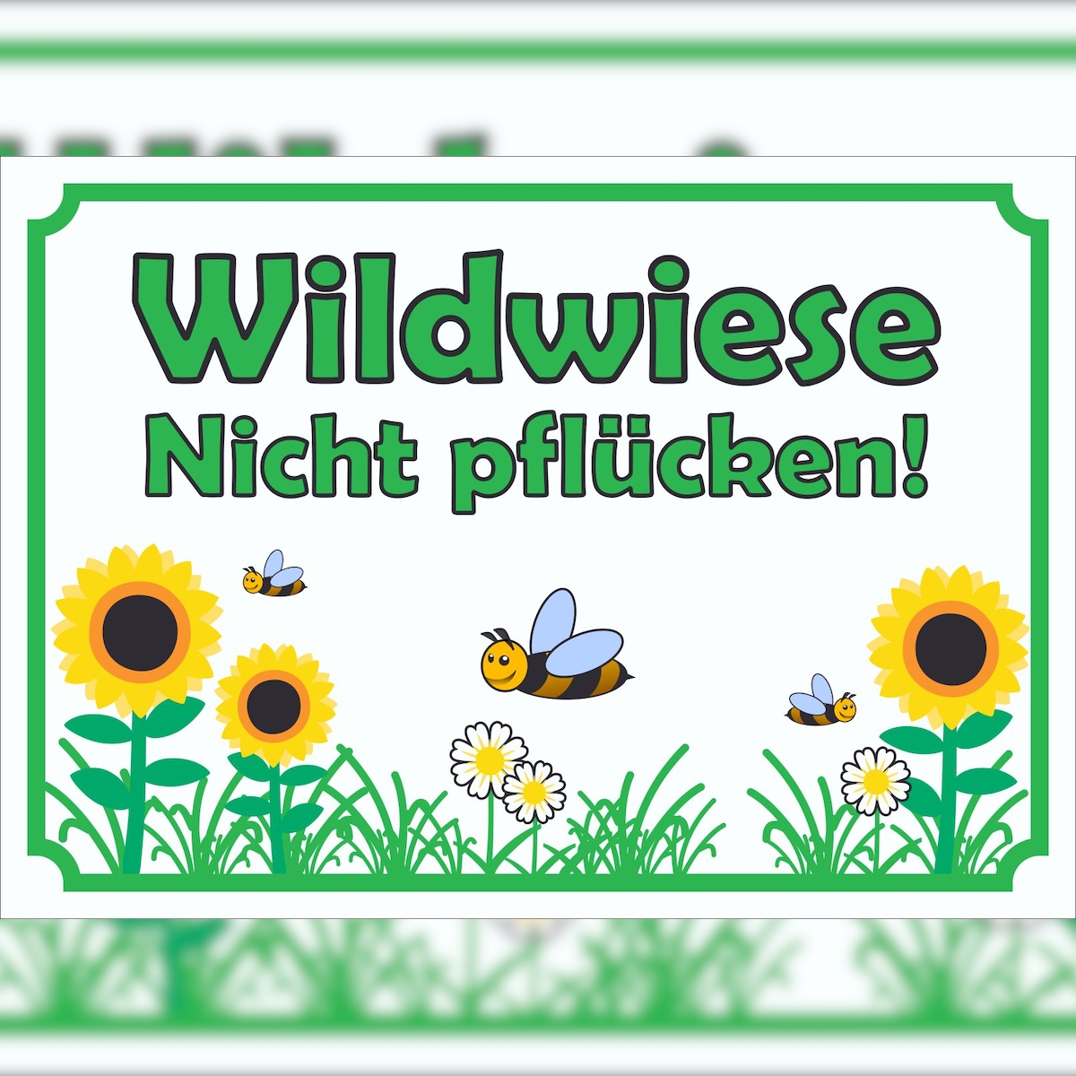 HB-Druck Schild Wildwiese Nicht pflücken waagerecht A3 Rückseite selbstklebend Image