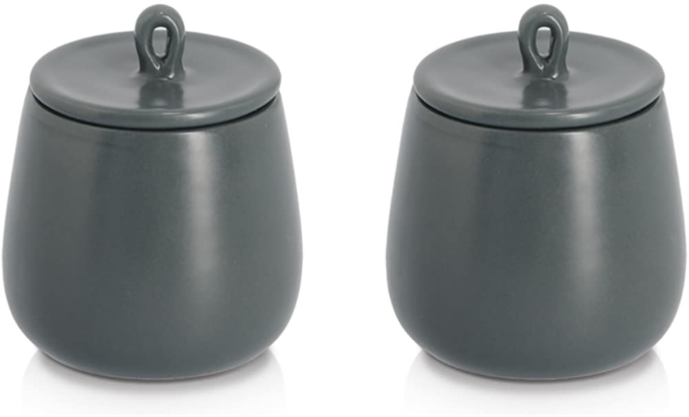 Gewürzbehälter ZELLER PRESENT "Gewürzdose, 2-tlg.", anthrazit, H:10cm, Lebensmittelaufbewahrungsbehälter, schützt vor Feuchtigkeit, 220 ml