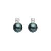 US Polo Assn Jewellery – Maisie – Rhodium-Ohrringe