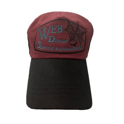 thecoldestmoment TCM web designer cap