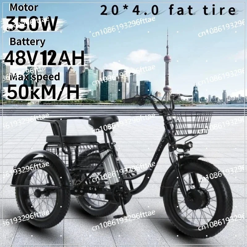 Elektrofahrrad Schnee Offroad Doppel Elektro-Trike Elektro-Dreirad 350W48V12AH Lithiumbatterie 20*4,0 Fat Tire mit Sitz Image
