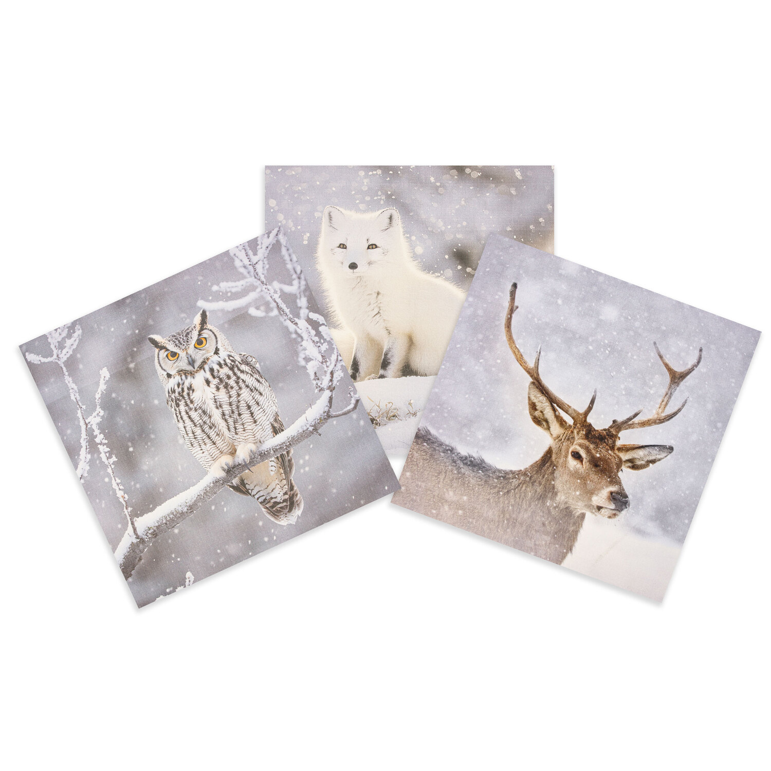 Canvas-Coupon Schneetiere, grau-color