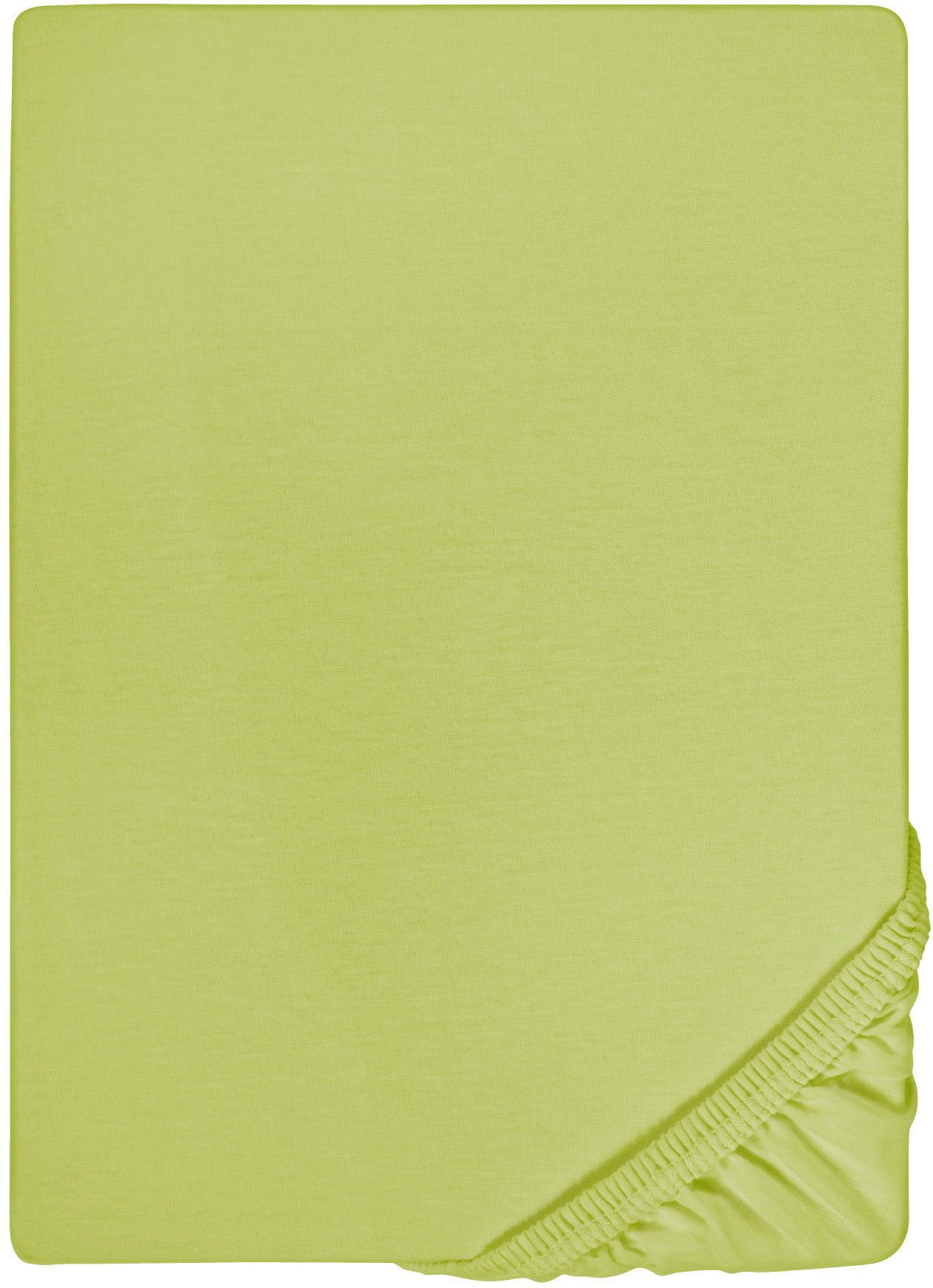 Spannbettlaken BIBERNA "Marc", grün (apfelgrün), L:200cm, Jersey, Obermaterial: 100% Baumwolle, Bettlaken, aus Baumwolle, für Matratzen bis 22 cm Höhe, Bettlaken, Spannbetttuch Image