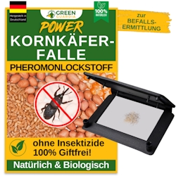 Green Guardia Kornkäfer Falle mit Pheromon-Lockstoff: 2 Image