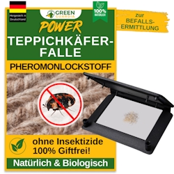 Green Guardia Teppichkäfer Falle mit Pheromon-Lockstoff: 1 Image