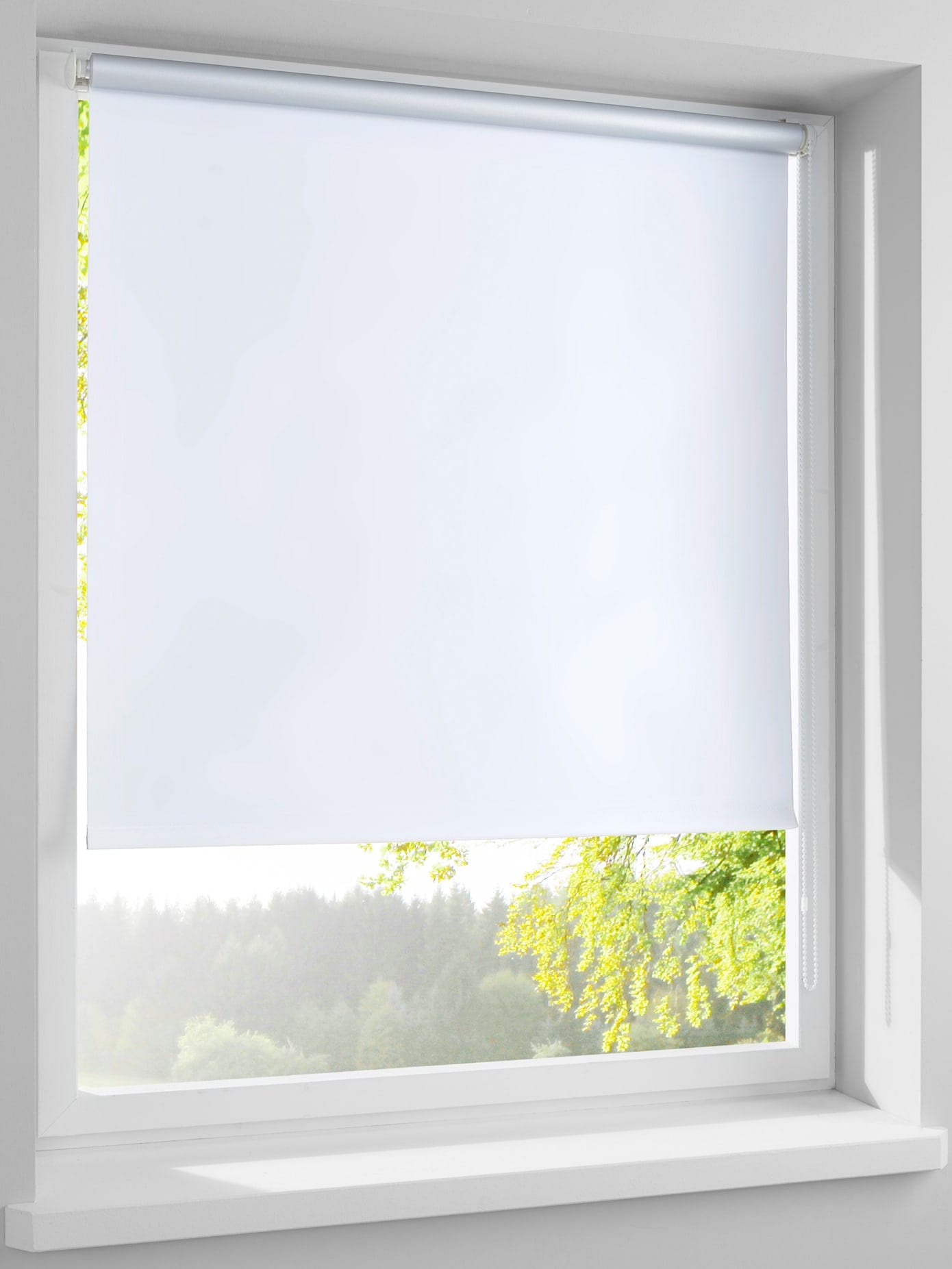Jalousie HEINE HOME Gr. 2, weiß, B:50cm H:150cm, Jalousien Image