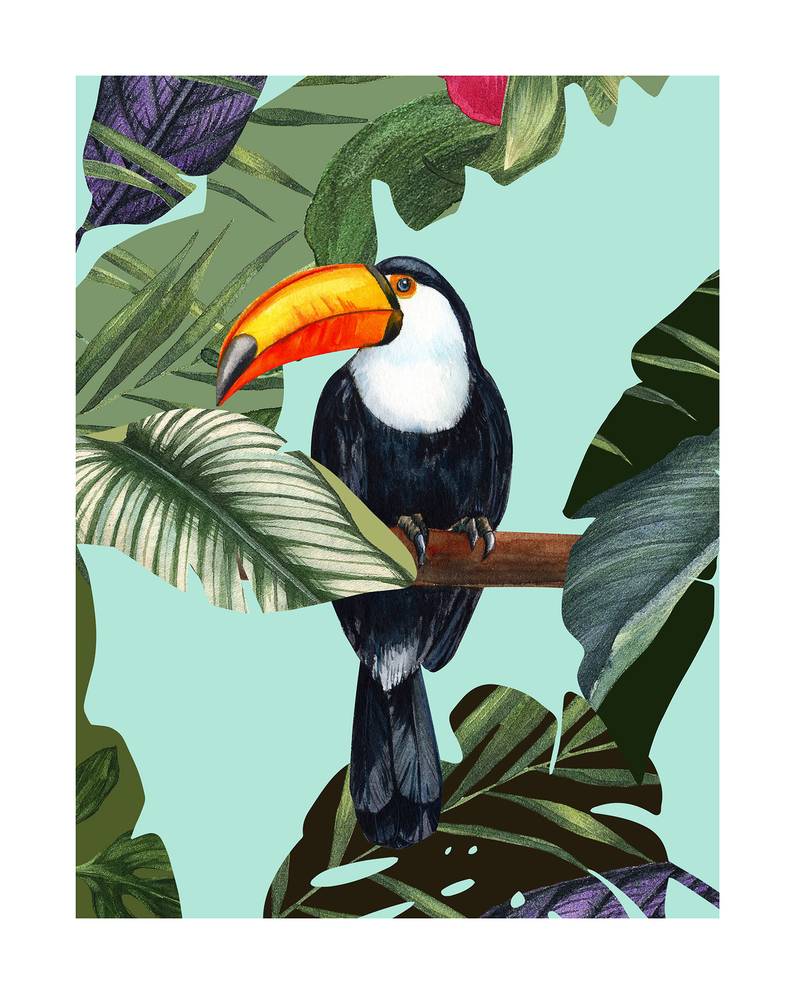 Bild KOMAR "Toco Toucan", bunt (farbe bild(er): bunt), B:40cm H:50cm, Papier, Bilder, Wandbild zur Dekoration - ohne Rahmen Image
