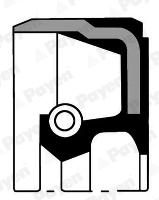 PAYEN Wellendichtring, Kurbelwelle Universal 191mm für DAF 1684106 1876190 NA5462 Image