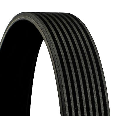 CONTINENTAL CTAM Keilrippenriemen Universal 8PK1509 Image