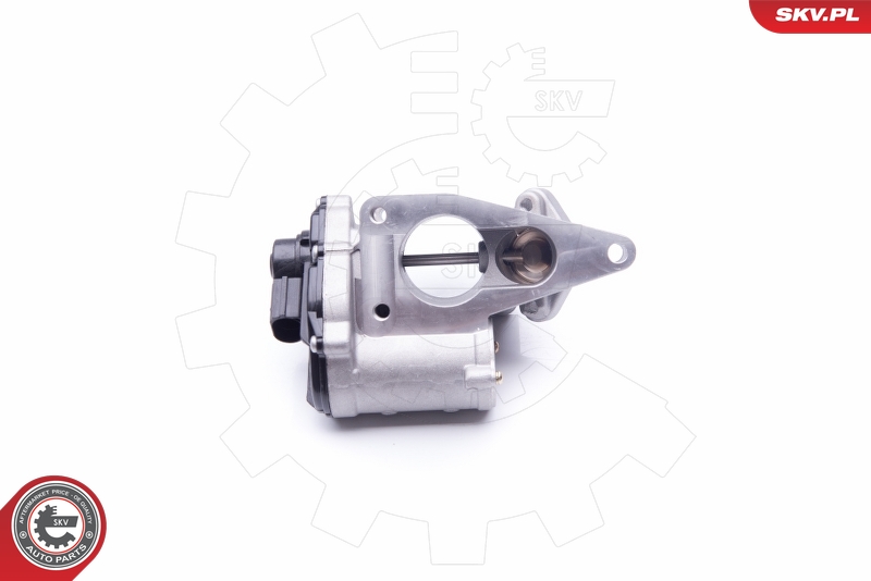 ESEN SKV AGR-Ventil 12V für RENAULT SUZUKI 8200507299 8200411031 8200630740 14SKV168 Image