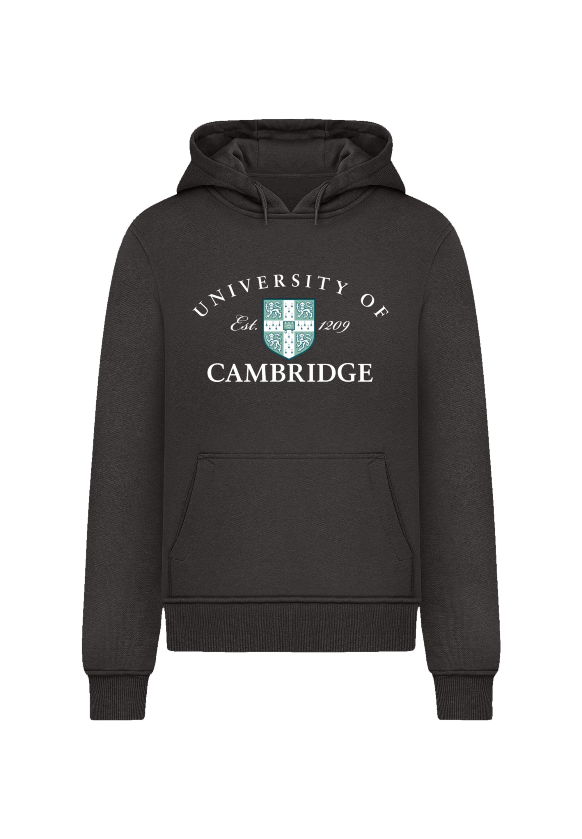 Kapuzenpullover F4NT4STIC "University Of Cambridge Est 1209", Herren, Gr. 4XL, schwarz, Obermaterial: 65% Baumwolle, 35% Polyester, slim fit, Pullover, Official Merch Image