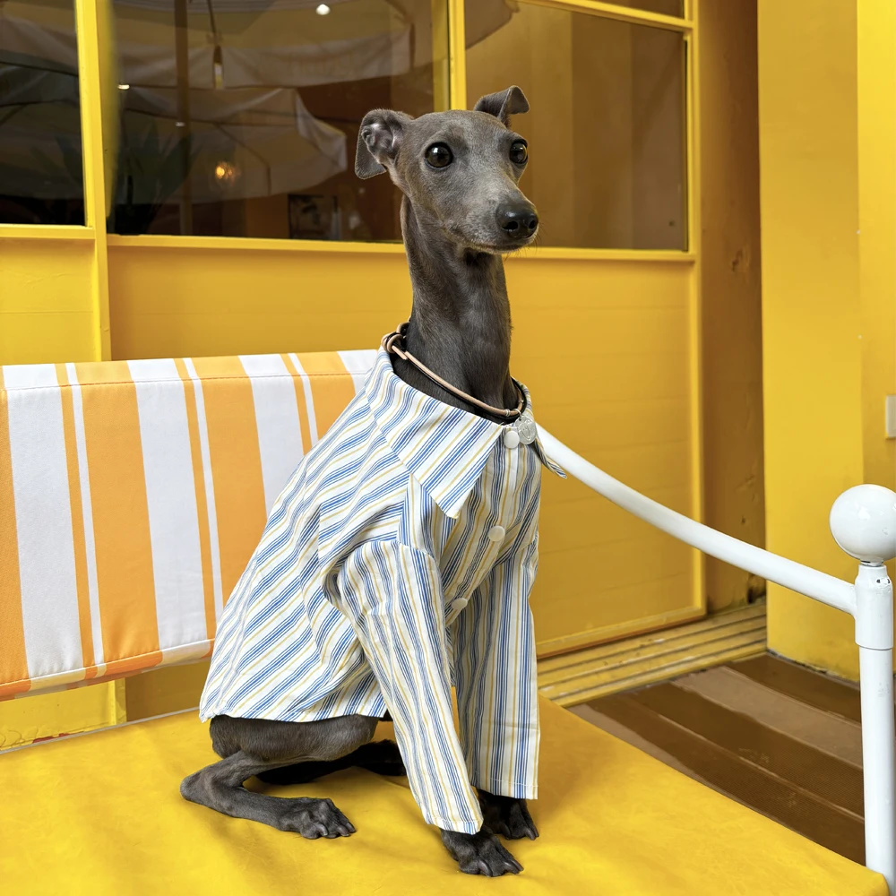 Gestreiftes Hemd mit italienischem Windhund, Frühling und Sommer, dünn, modisch, vielseitiges Hundehemd, weiche, bequeme Haustierkleidung Image