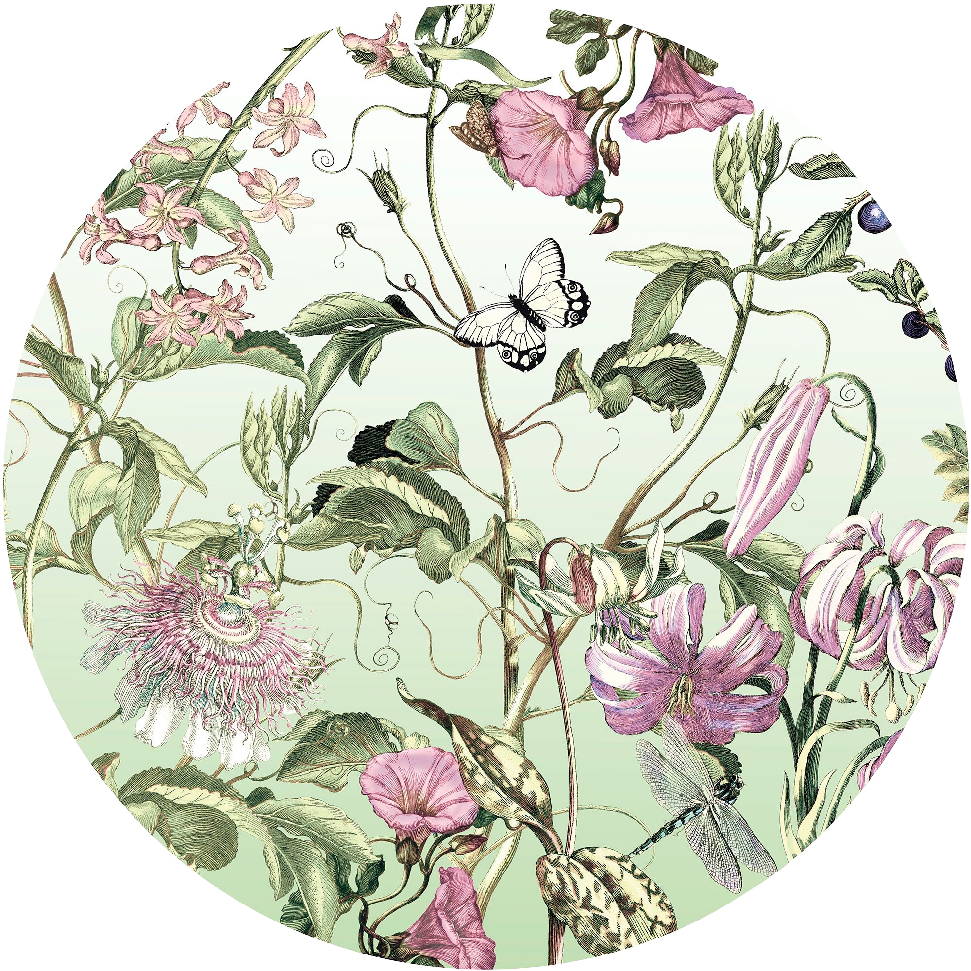 Fototapete KOMAR "Vlies selbstklebend - Louloudi - Größe 125 x 125 cm", bunt, B:125m L:125m, Vlies, Tapeten, Wohnzimmer, Schlafzimmer