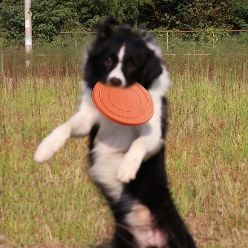 Silikon Fliegende Untertasse Lustige Hund Katze Spielzeug Hundespiel Fliegende Scheiben Beständig Kauen Welpen Training Interaktive Heimtierbedarf Image