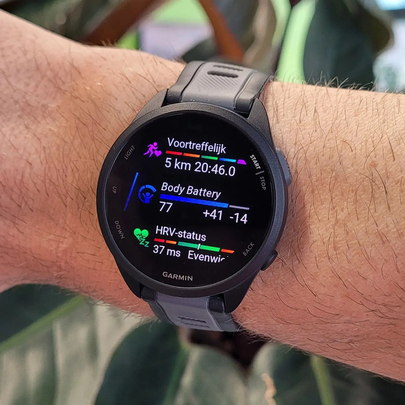 GARMIN Forerunner 165 Smartwatch Image