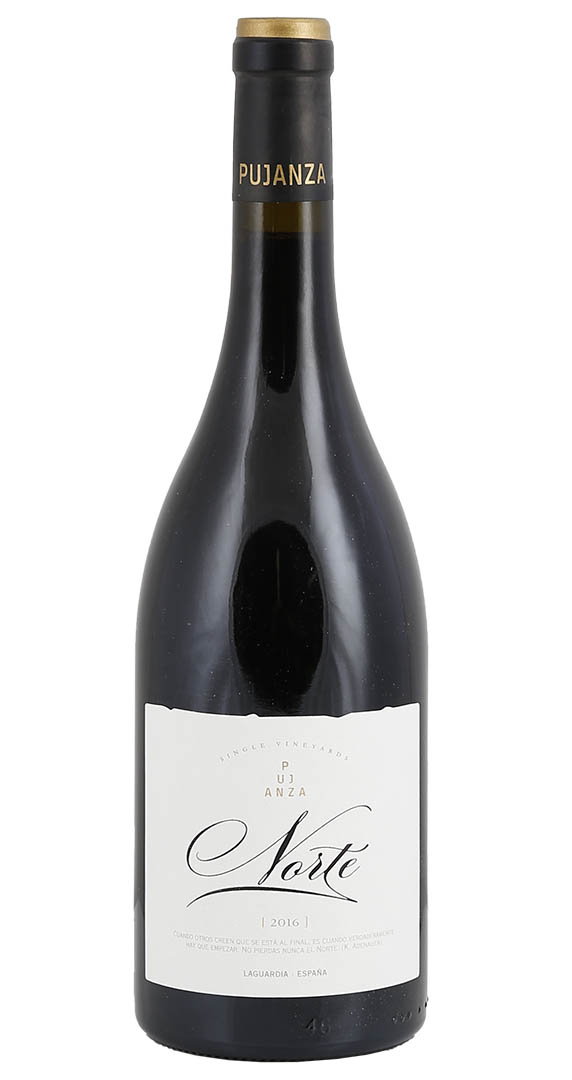 Pujanza Norte 2020 Image