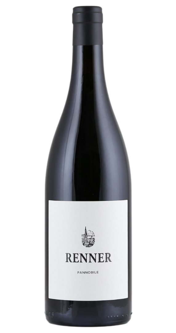 Renner PANNOBILE 2021 Image