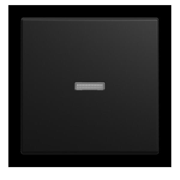 Busch-Jaeger Wippe 1789 N-915 2CKA001731A4035 Image