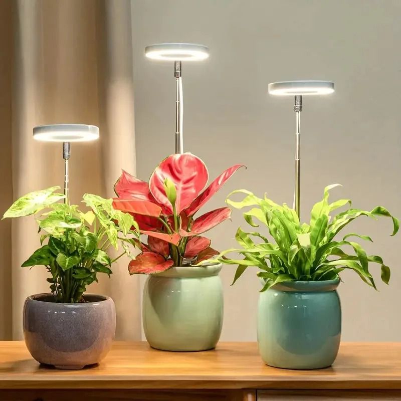 LED Grow Light For Indoor Plants With Adjustable Brightness And Timer red Blue Light 1 Head