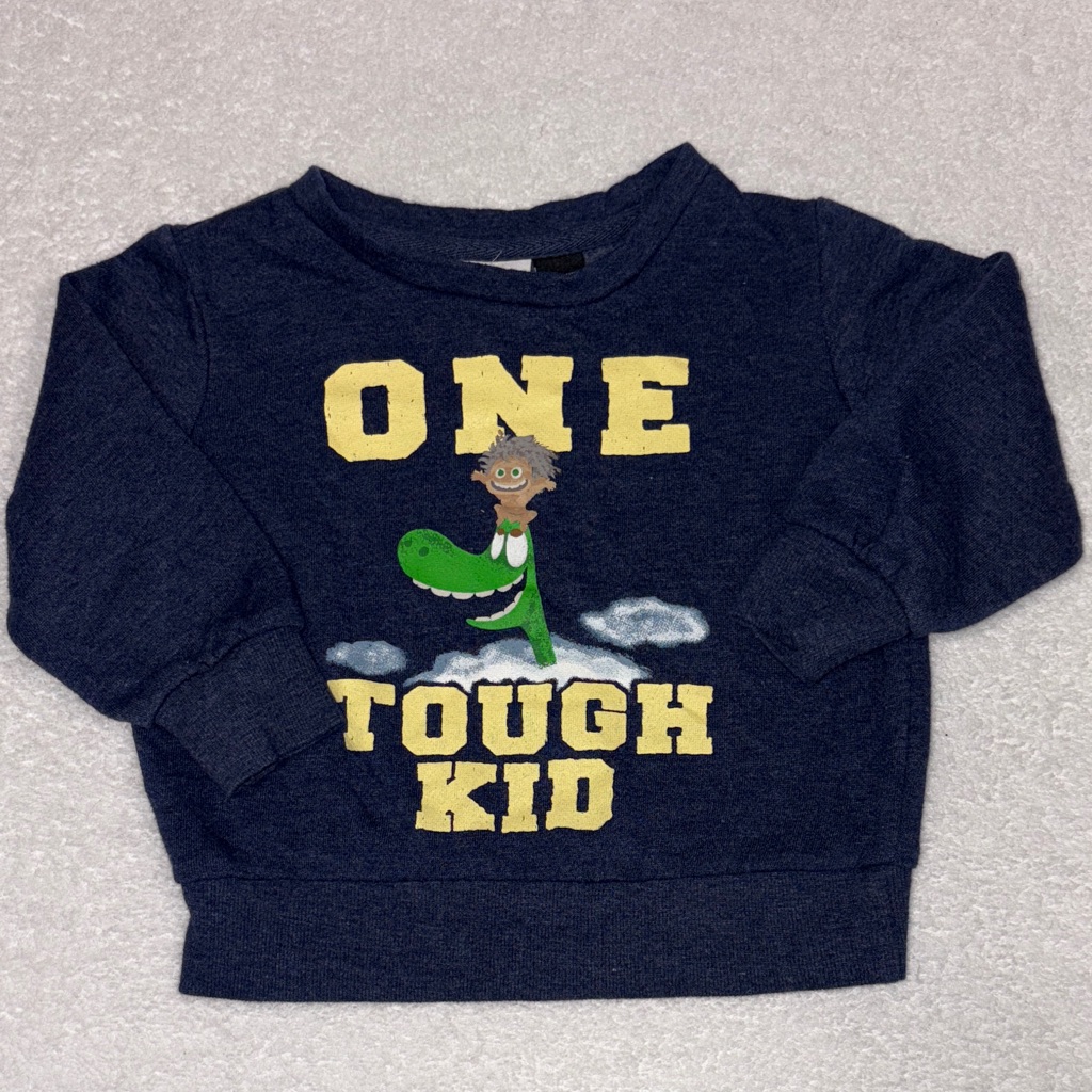 Disney Shirts & Tops | Disney Pixar The Good Dinosaur Navy Blue Kids Sweatshirt - One Tough Kid Boys 2t | Color: Blue/Yellow | Size: 2t