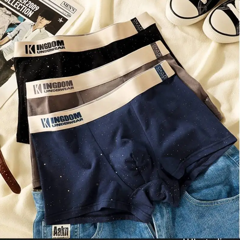 3 pièces coton Boxer Shorts hommes sous-vêtements hommes culottes Boxer Shorts hommes caleçons sous-vêtements pour homme