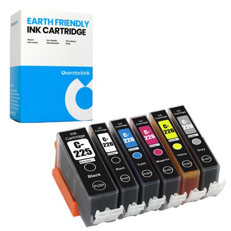 OverstockInk PGI-225 CLI-226 Ink Cartridges 6-Pack Compatible for Canon PGI-225 CLI-226 for PIXMA MG6220 (1 each PGBK BK C M Y GY)