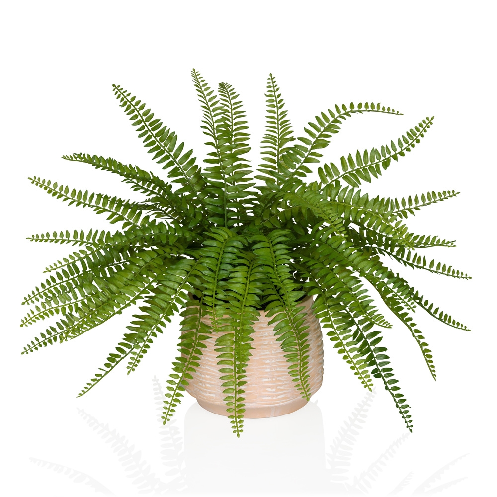 Kunstpflanze / Topfpflanze PROLIFERUM Farn 40 cm Kunststoff grün hjh OFFICE Image