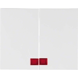 Berker Wippe pws 14377009 Image