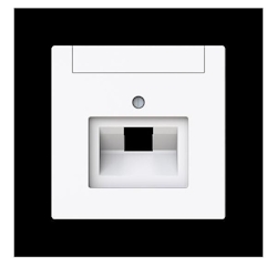 Busch-Jaeger Zentralscheibe 1-fach, UAE 1803-44G 2CKA001710A4219 Image