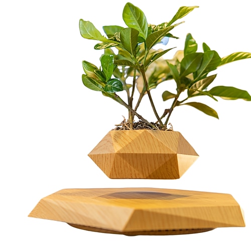 Hängender Blumentopf Geeignet für Kleine Pflanzen Magnetischer schwebender Blumentopf mit Touch Steuerung Licht Ewiges schwebendes Blumenlicht Valentinstagsgeschenk für Hängende Dekoration in Image